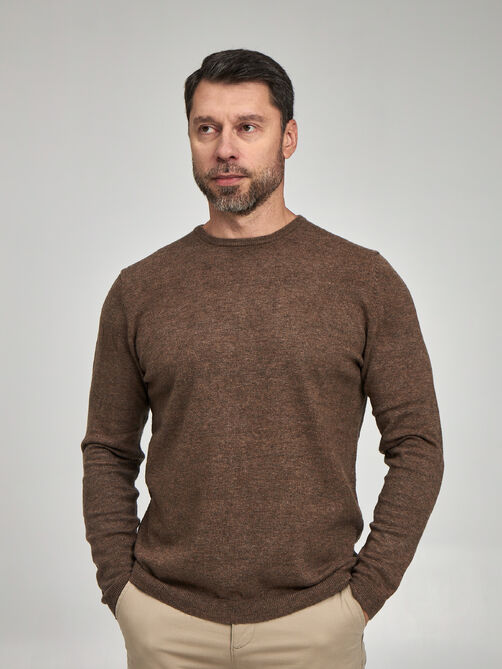 Фото 1 - Мужской пуловер CE-MS113-11 